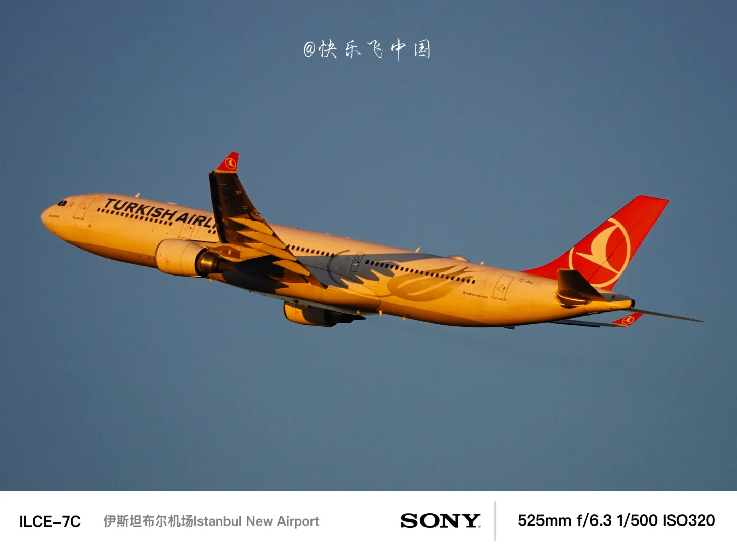 天马航空的A333宽体梦，土耳其航空，“圆了”❗️