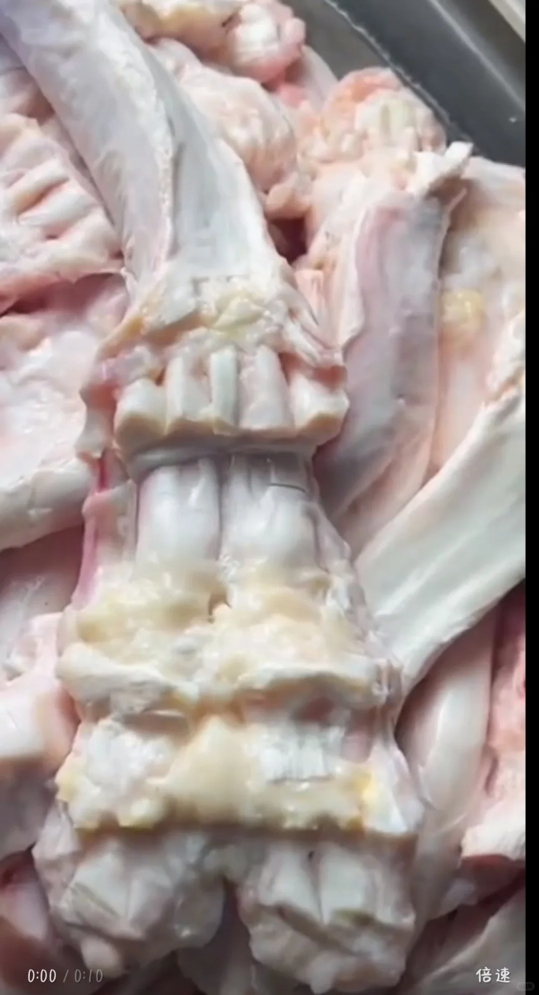 清真牛羊肉类源头厂家