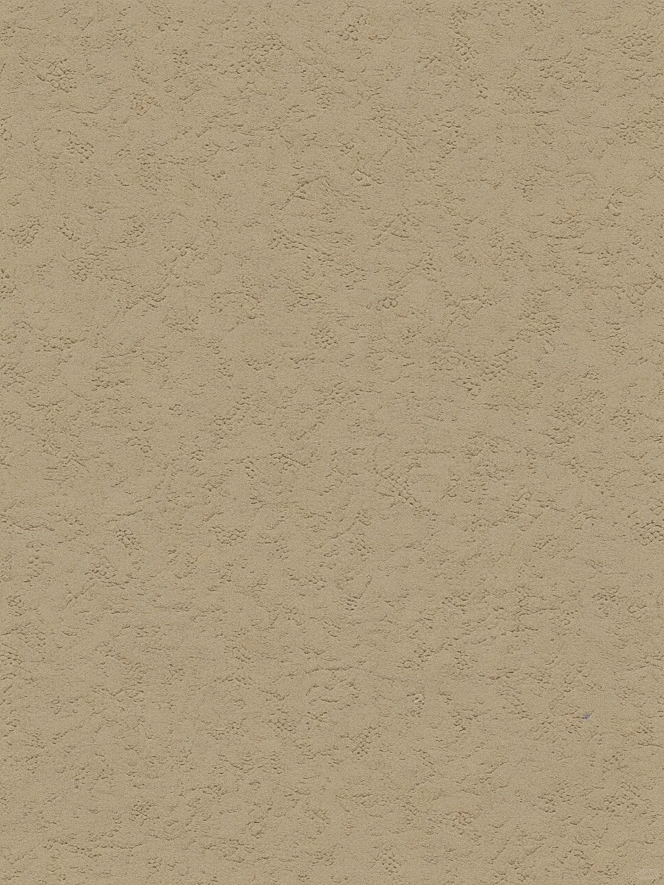 Day67｜米黄色布纹