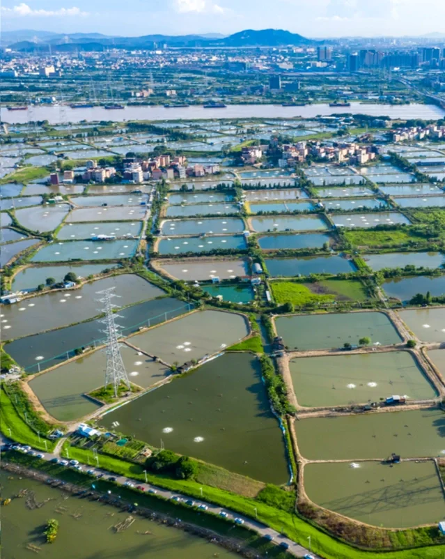 考点探析 | “桑基鱼塘”生态农业模式