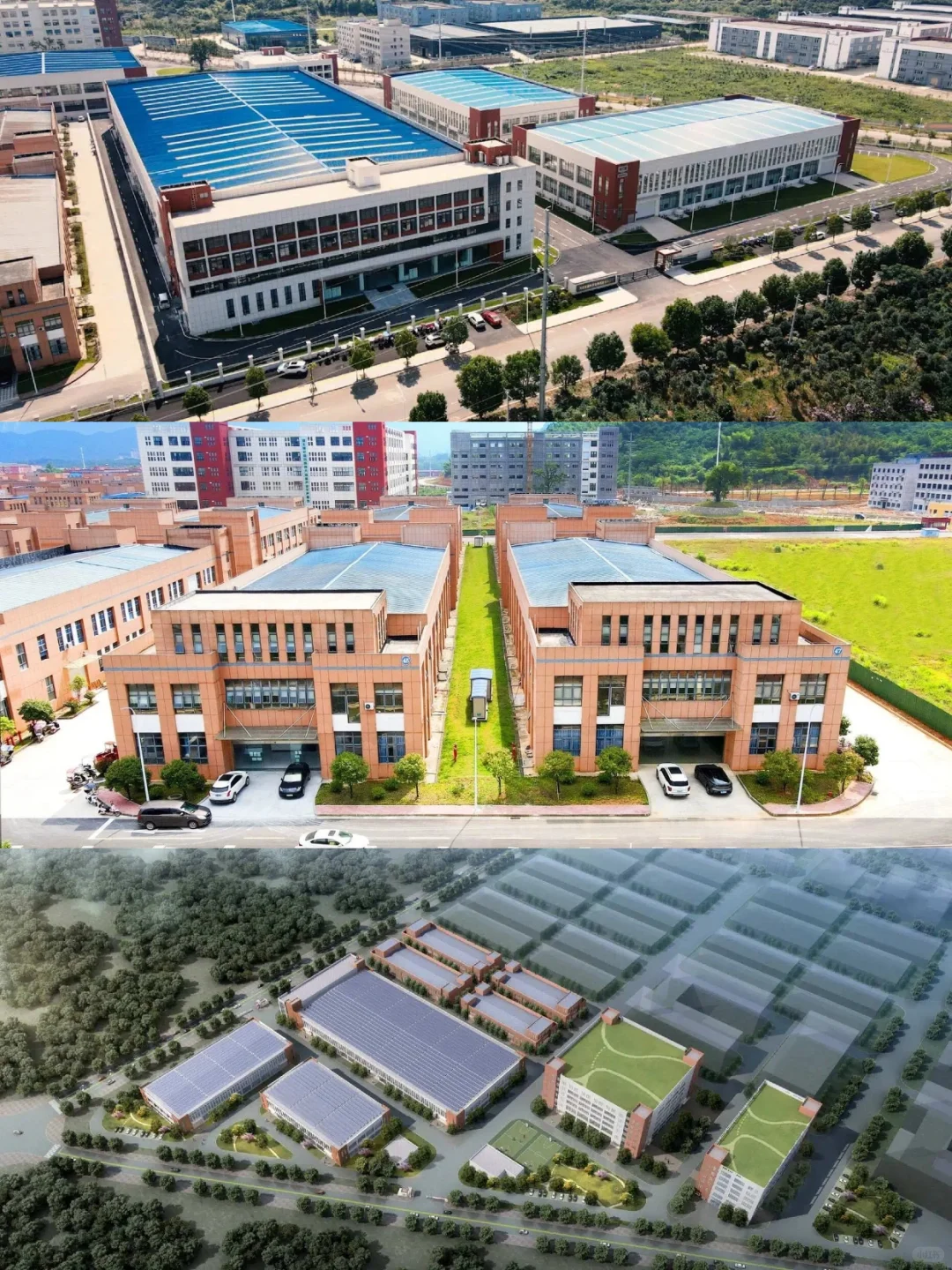 源头工厂爆品定制 | 牛磺酸能量饮料