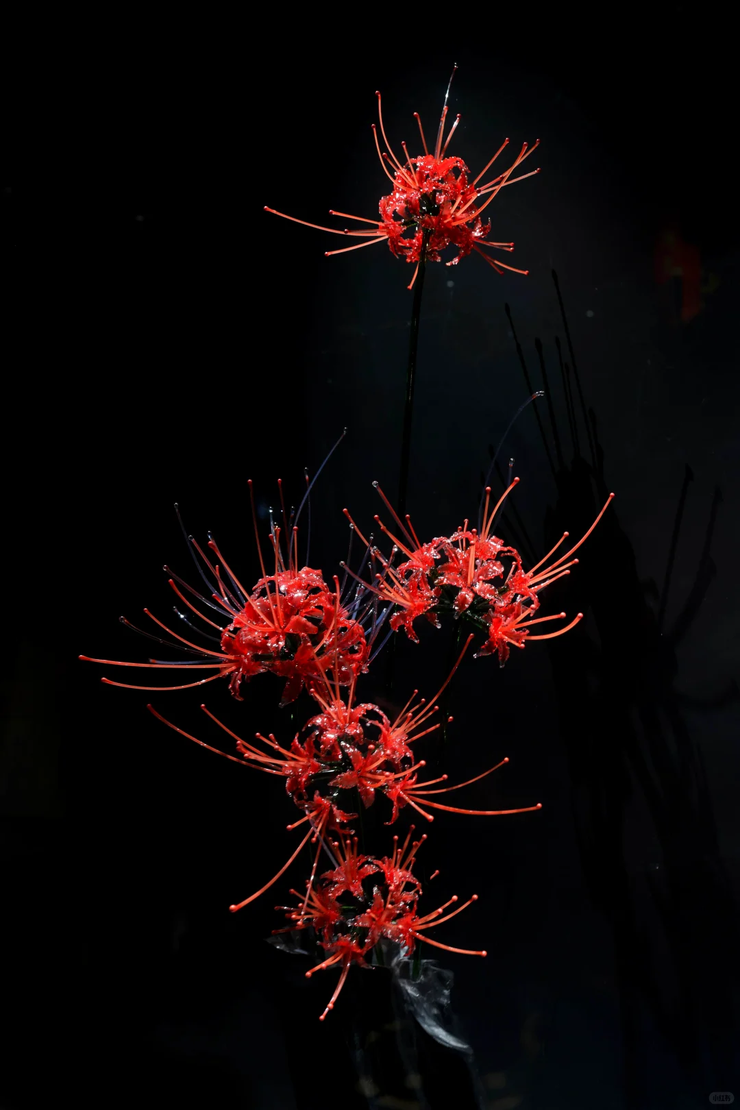 ?✨ 淄博陶瓷琉璃馆|琉璃灯工艺术大赏