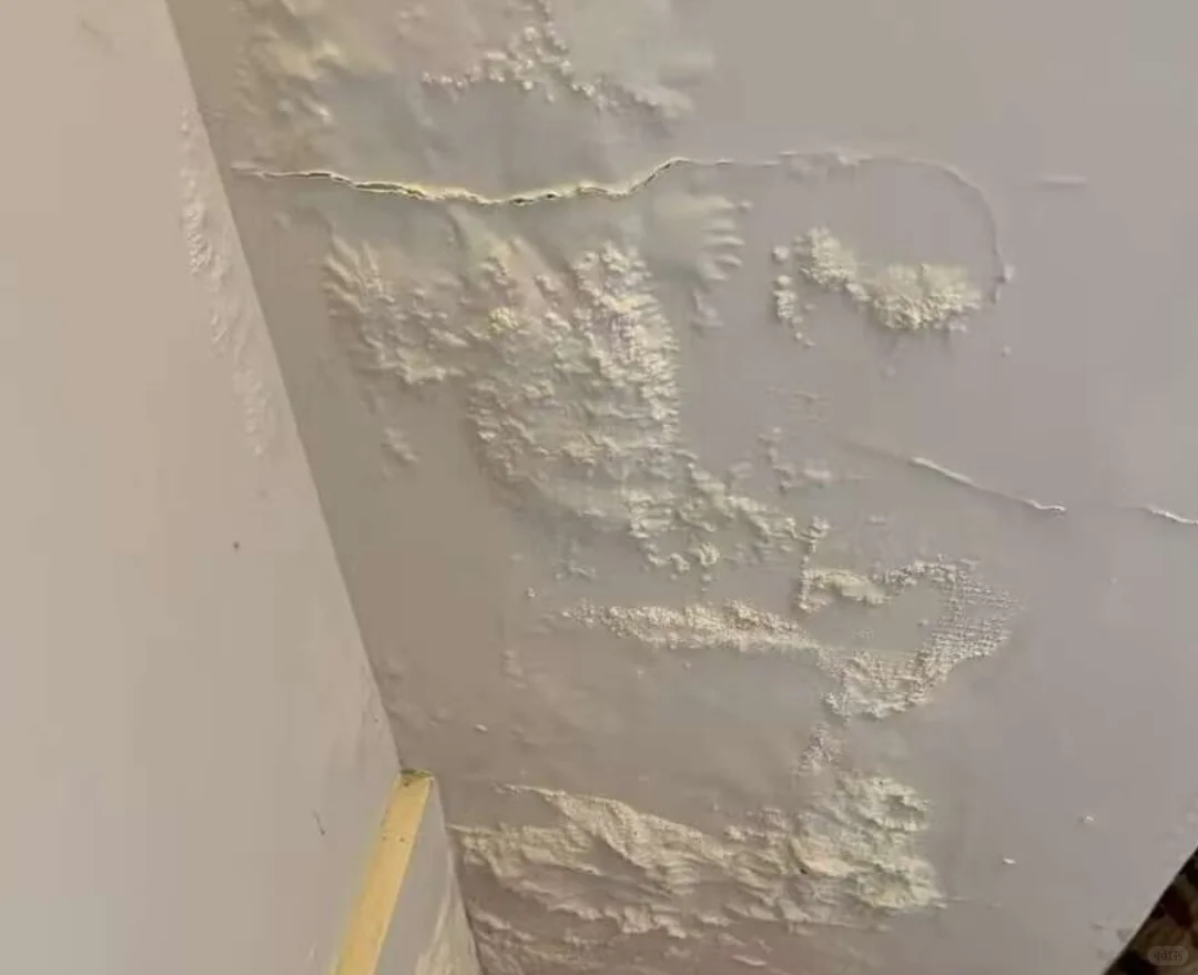 墙面渗水问题合集！