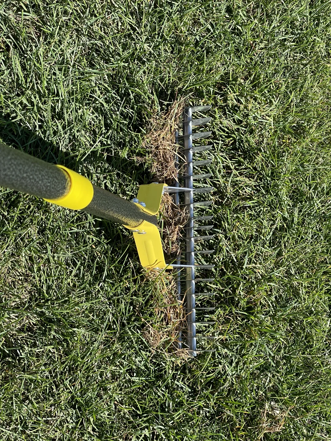 入冬前的草坪维护（1）