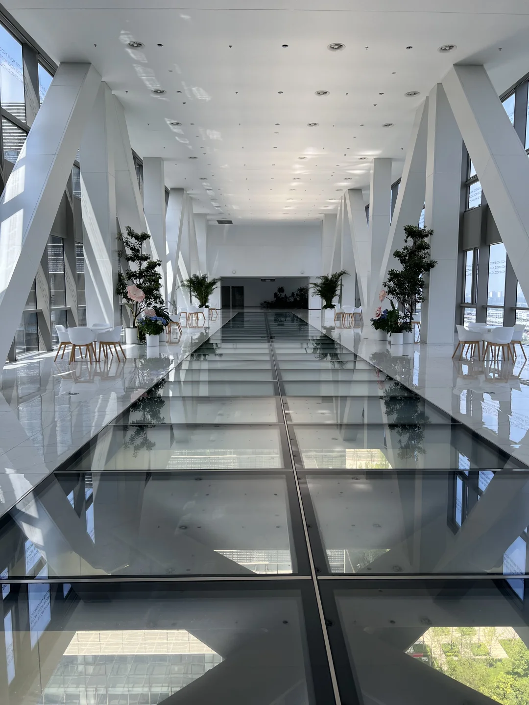 这座玻璃栈道也太美了！！