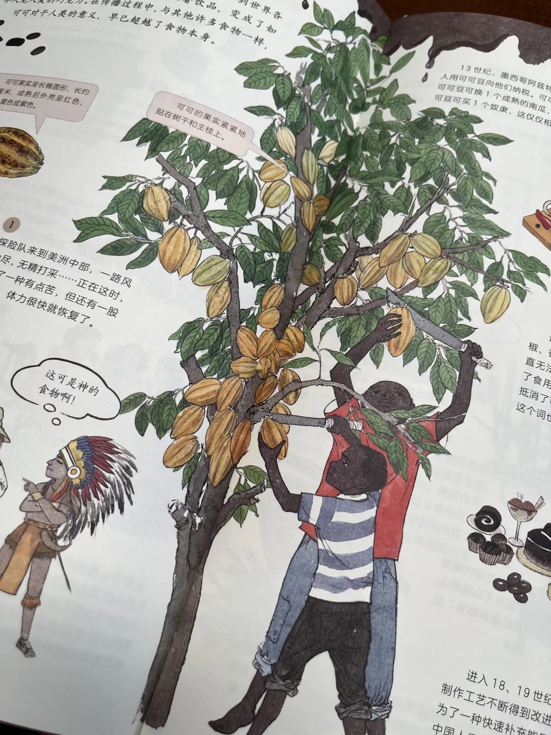 非常棒的一本作物科普书,中餐的秘密在这里