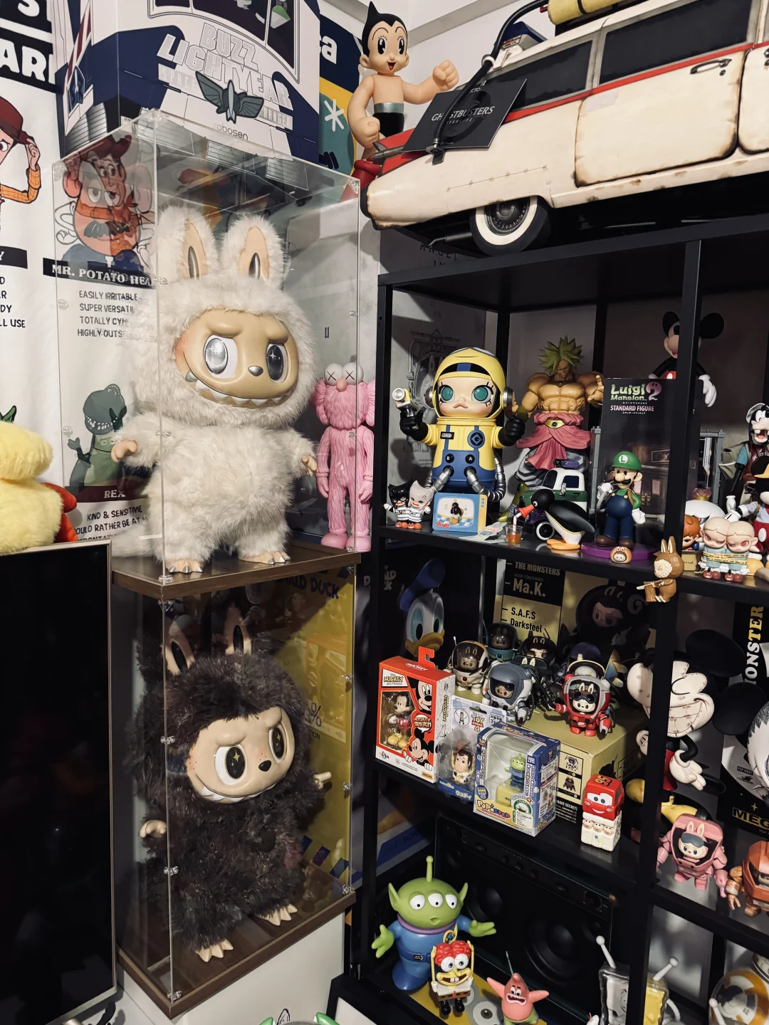 我在炫耀你们看出来了？