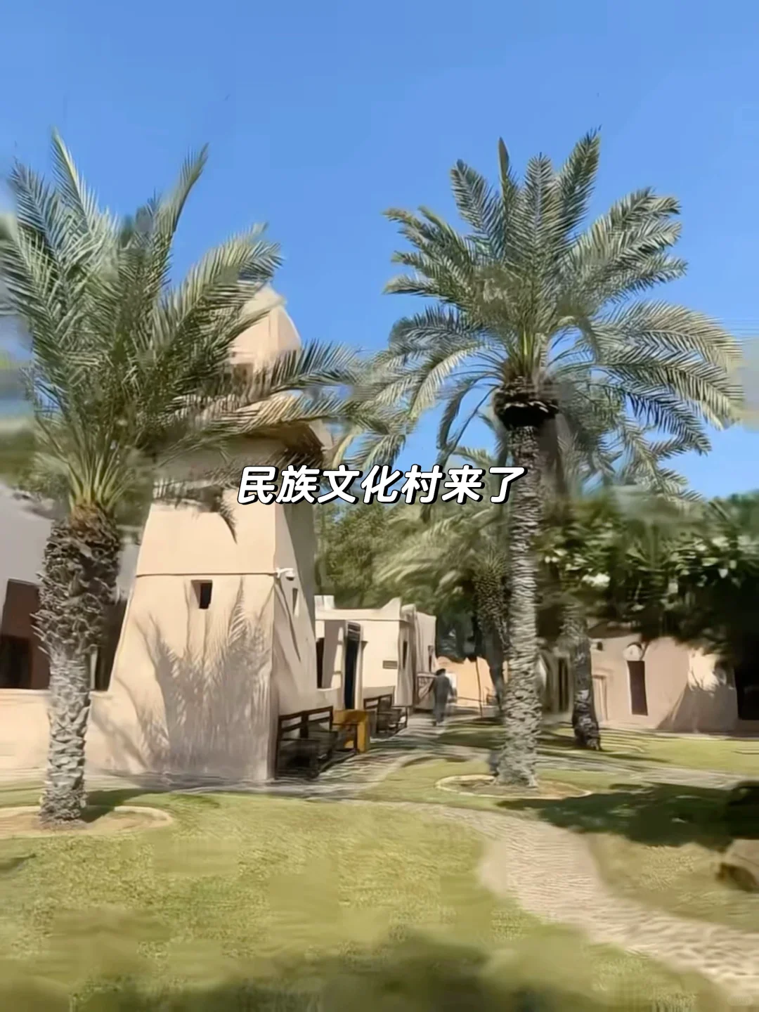 人生建议：一定要来阿布扎比来看卢浮宫！！！