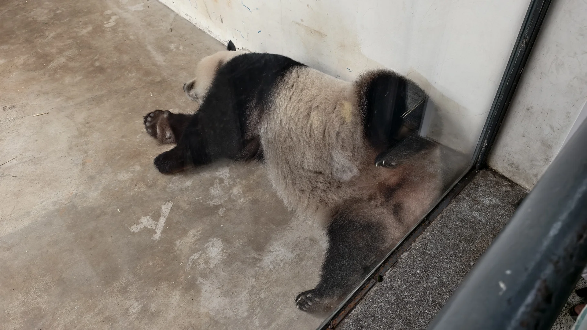 特种兵之杭州动物园