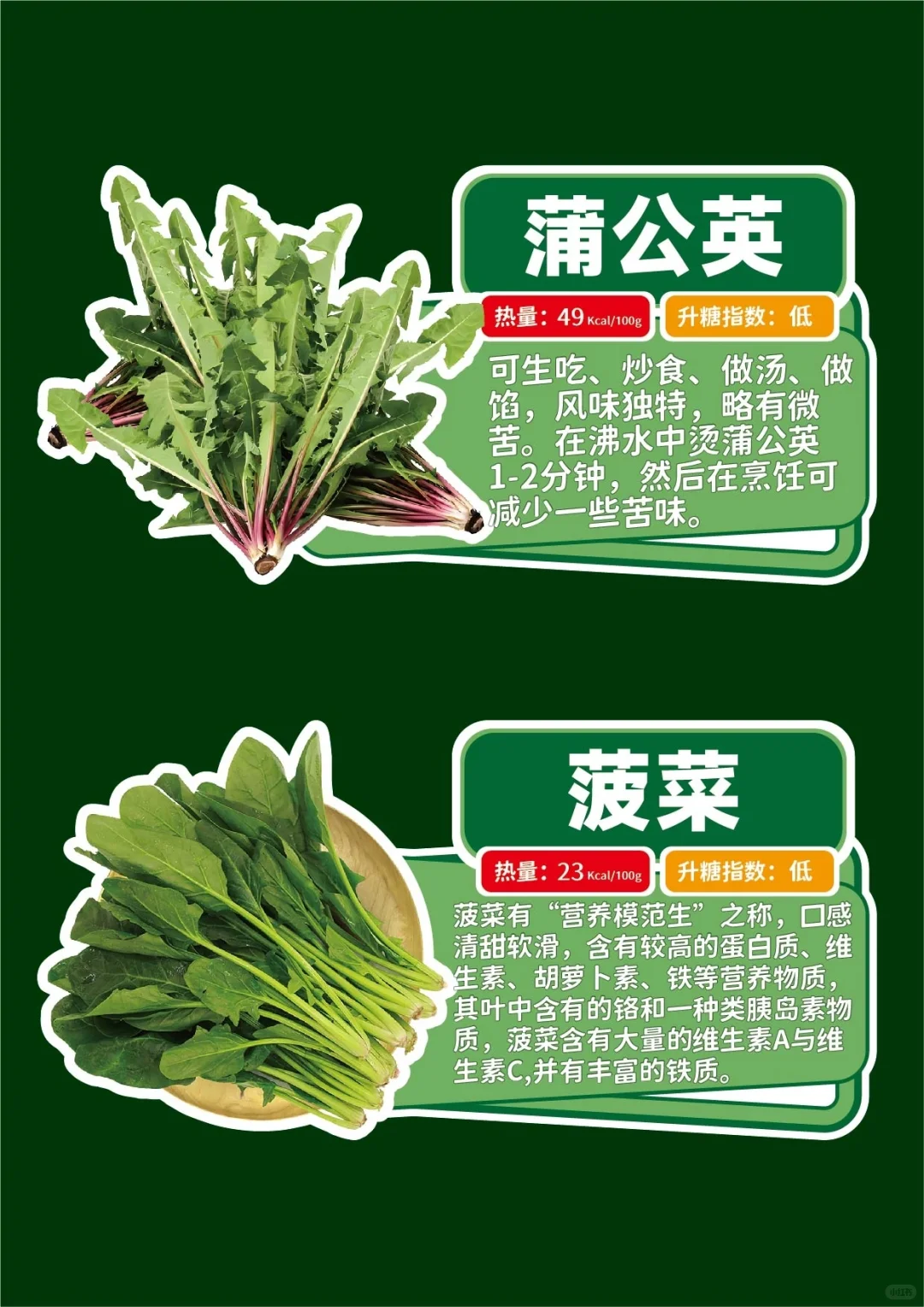 春季时令野菜手举牌
