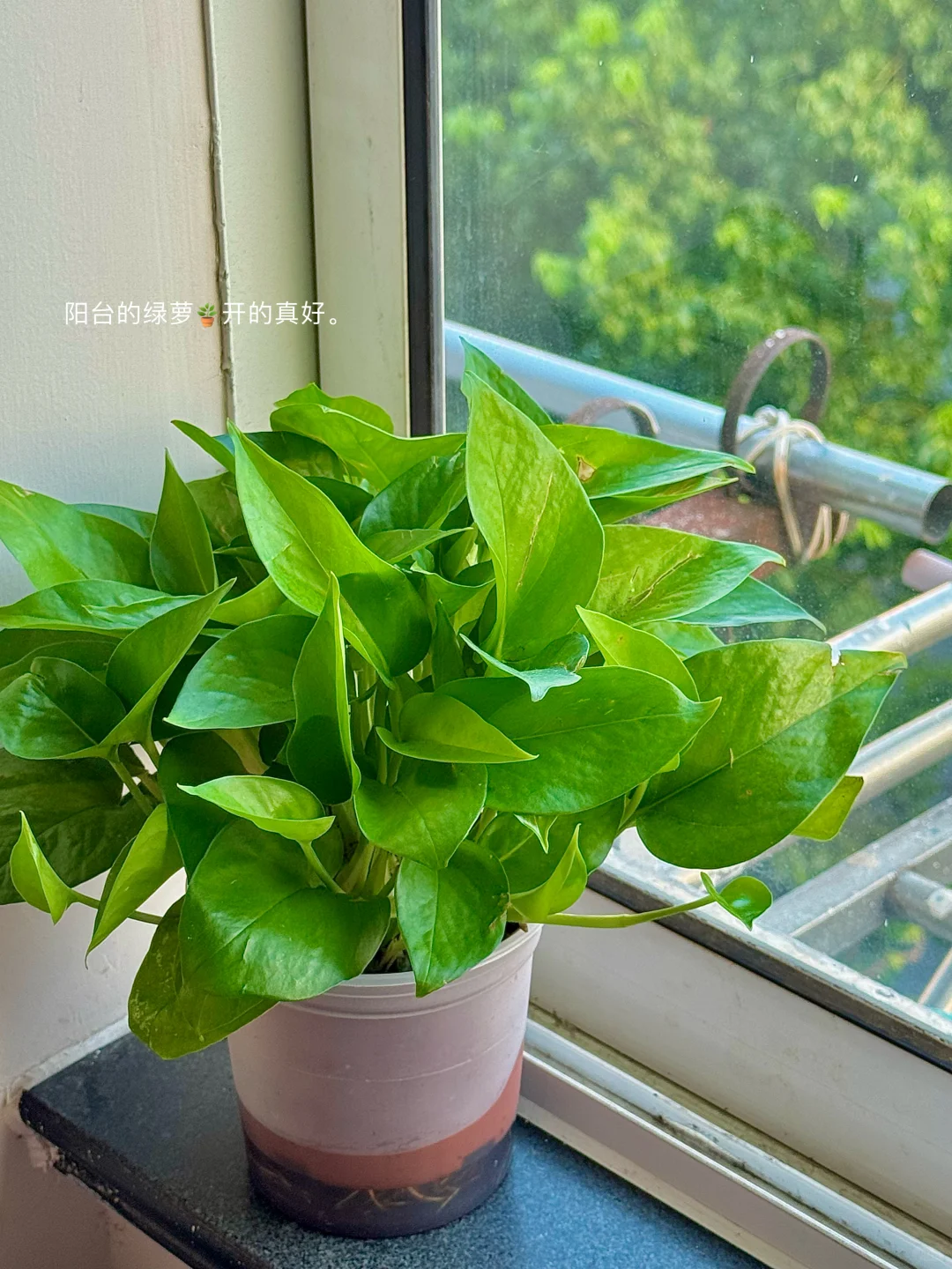 把家里收拾的干干净净,然后尽情享受每一天