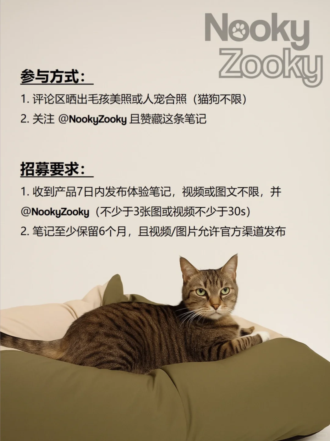 NookyZooky 新品首发招募体验官|山峰宠物窝