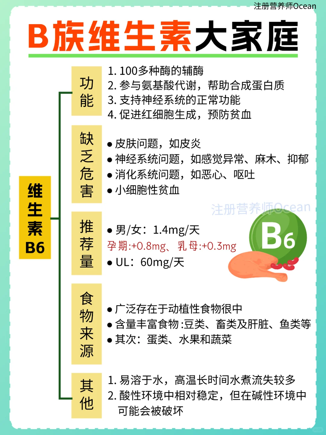 一篇全了解丨强大的B族维生素