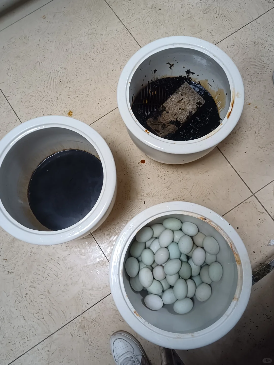 食品专业畜产品实验