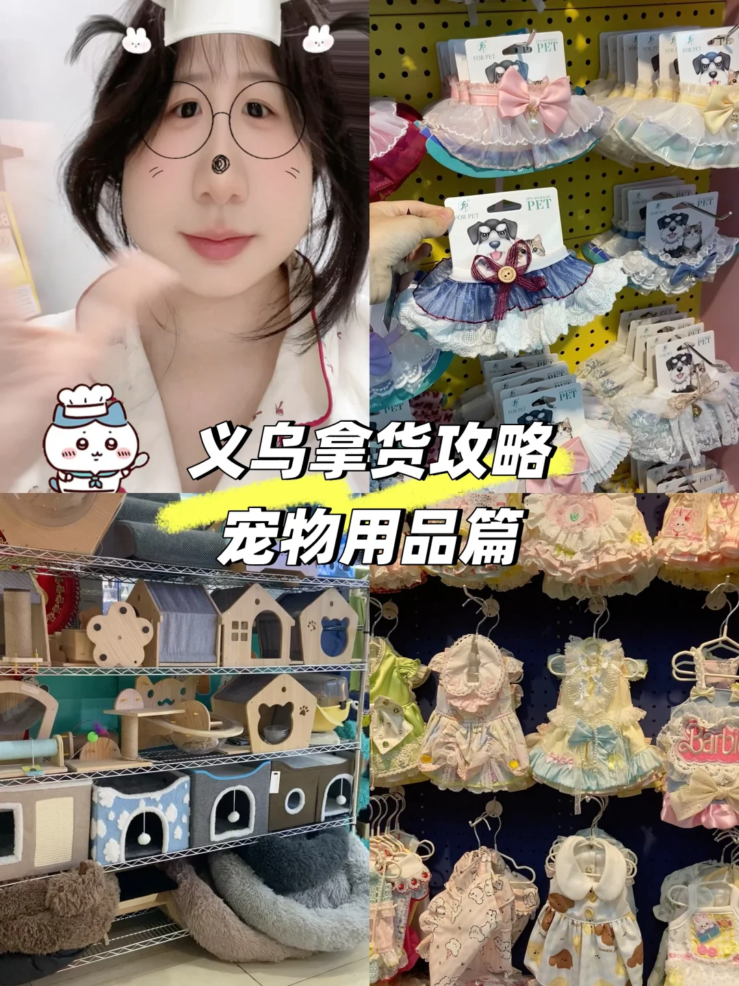 义乌宠物用品拿货攻略！品类好全啊！?