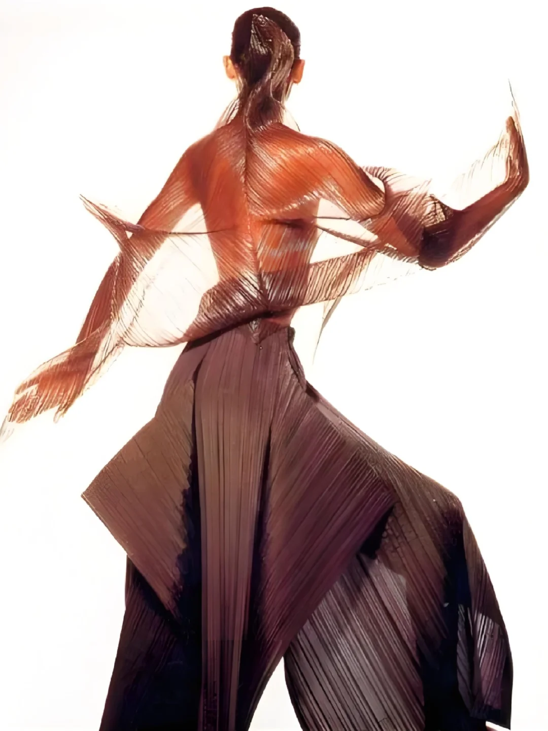 三宅一生的褶皱哲学