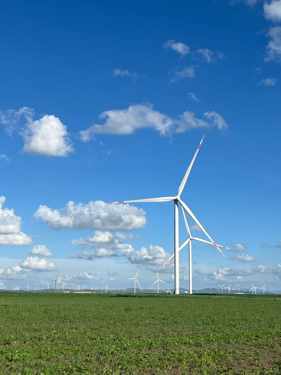 风车清楚每阵风的来意