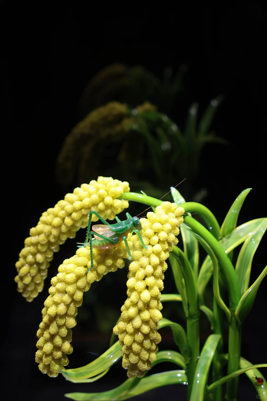 ?✨ 淄博陶瓷琉璃馆|琉璃灯工艺术大赏