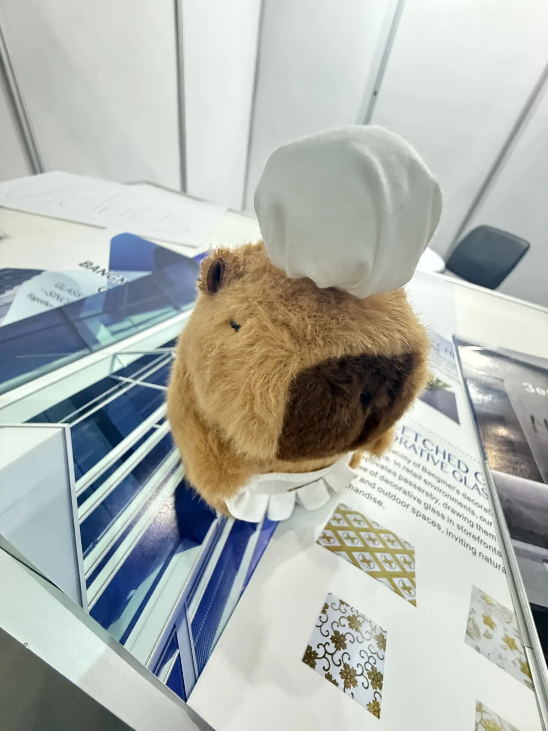 ????带着我的小团队来为工业展翻译啦