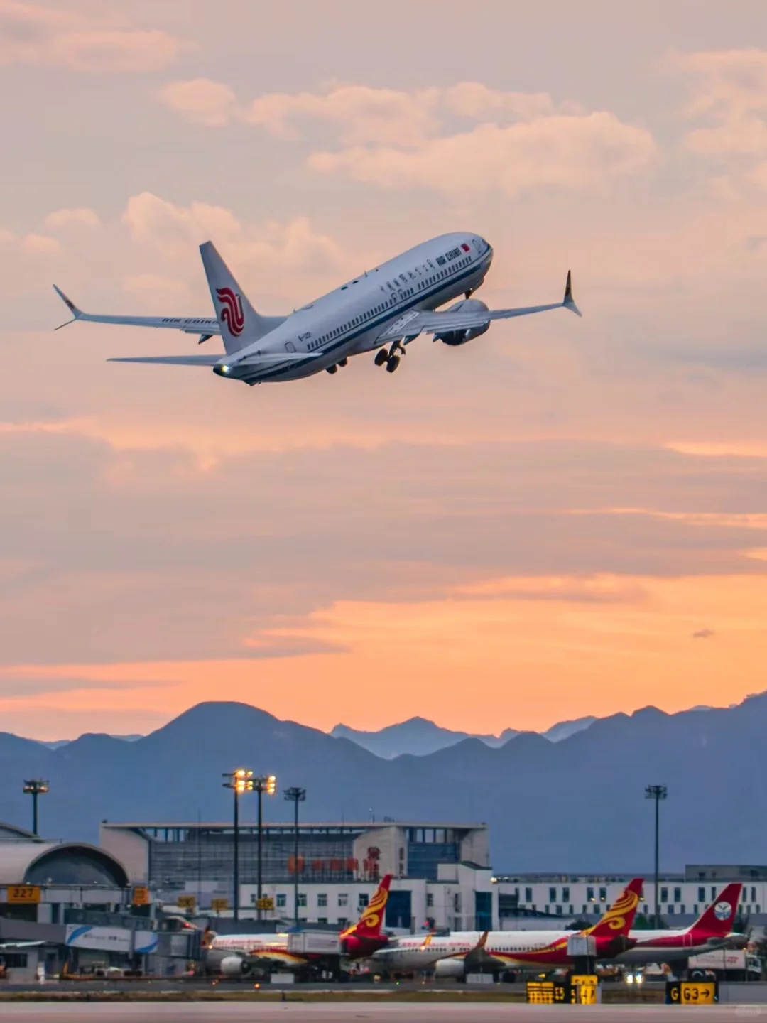 空运，航空货运，宠物托运