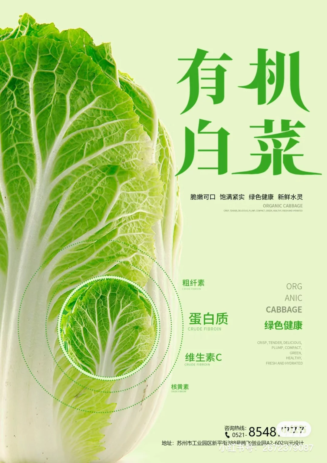 蔬菜海报设计审美