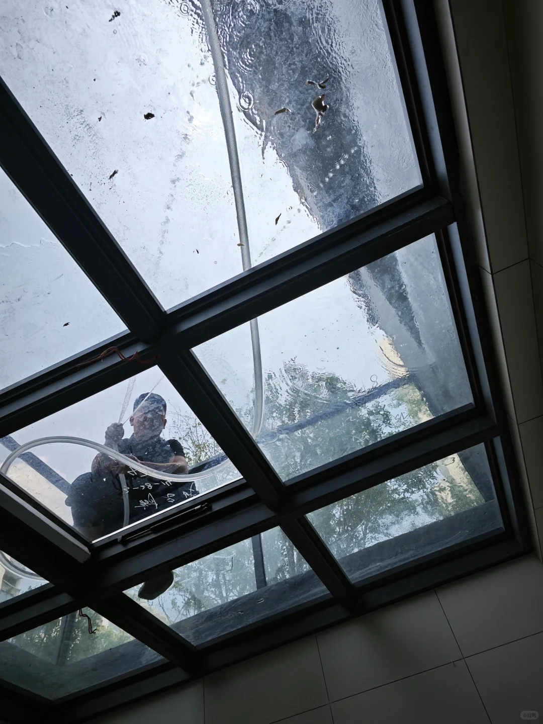 这个玻璃屋顶真是惊艳到了！