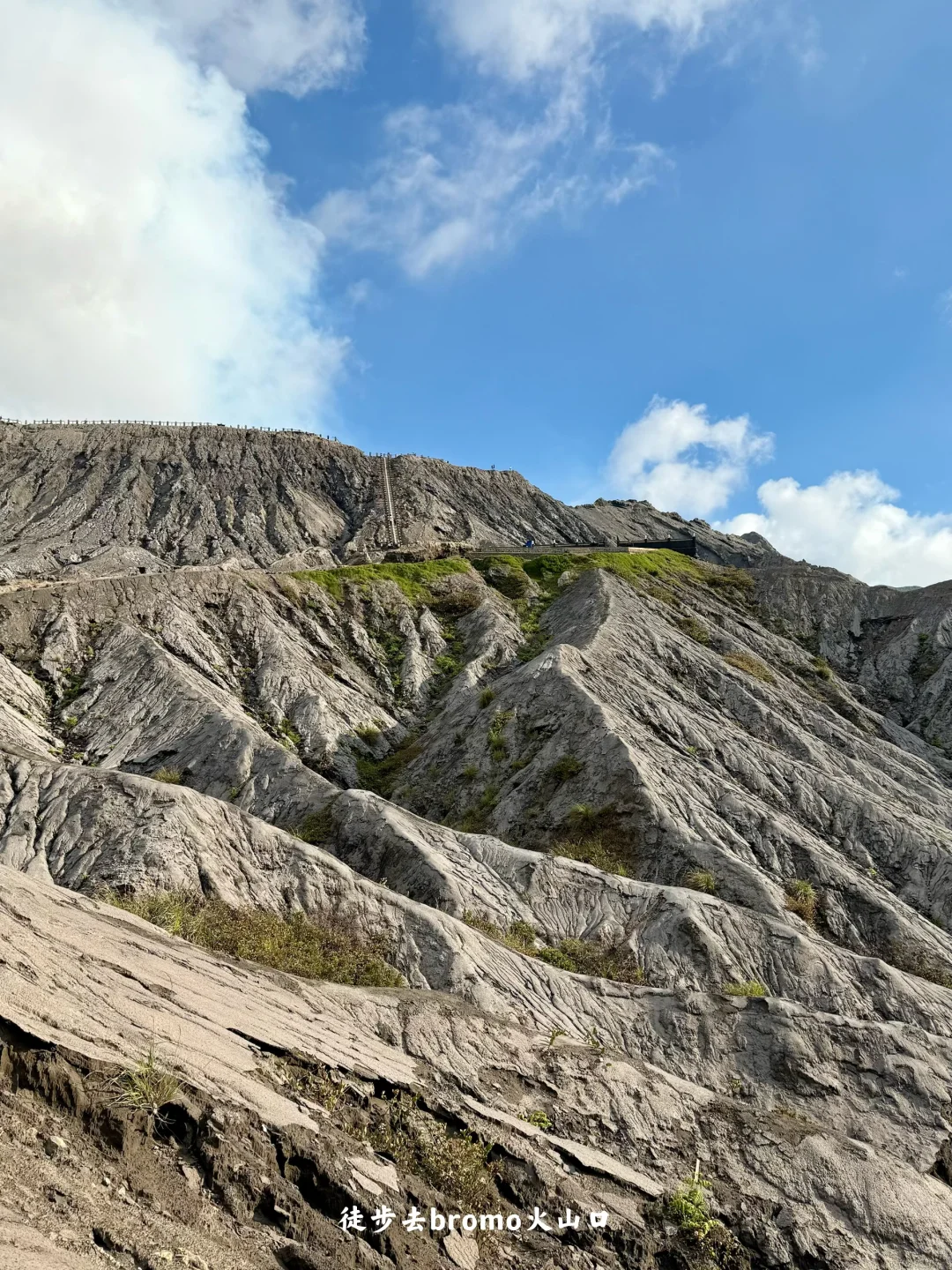 ??印尼｜泗水4天旅行攻略 （骑摩托版）