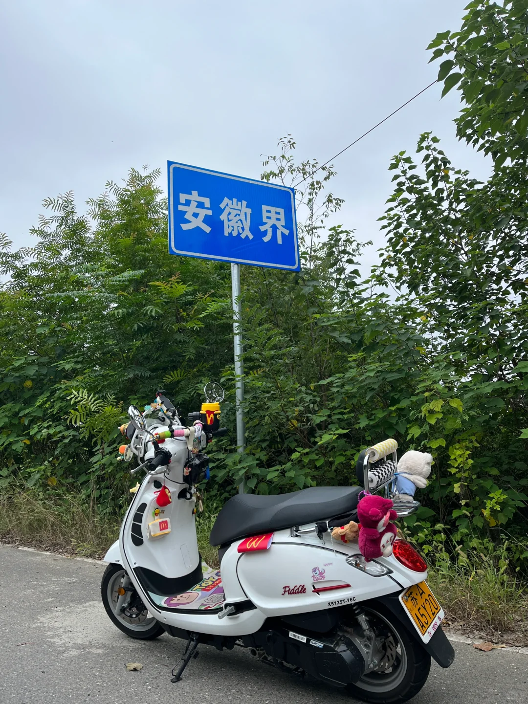 《飞度4》改装分享！