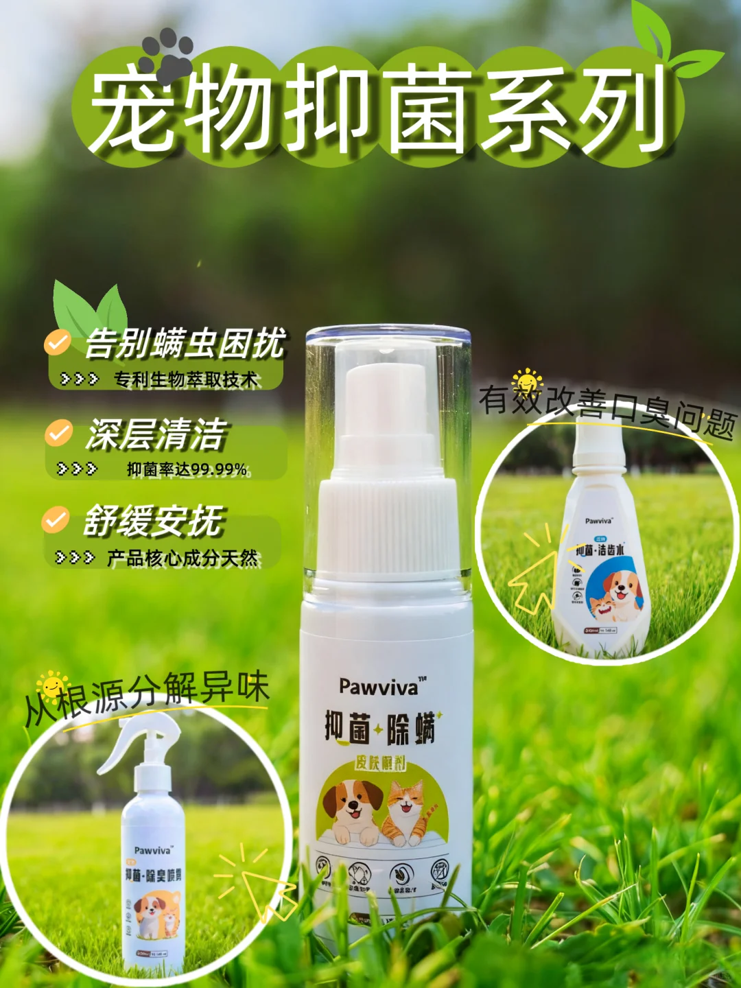 ?Pawviva招募宠物用品天使用户啦