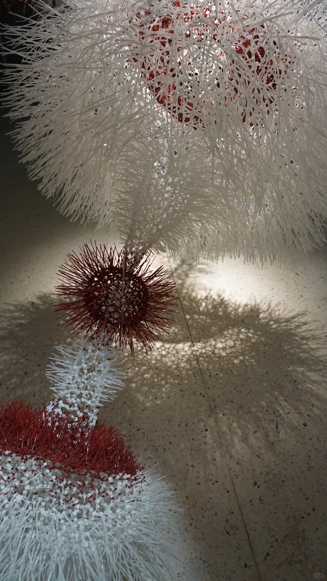 小红书线上毕业展 | 返照