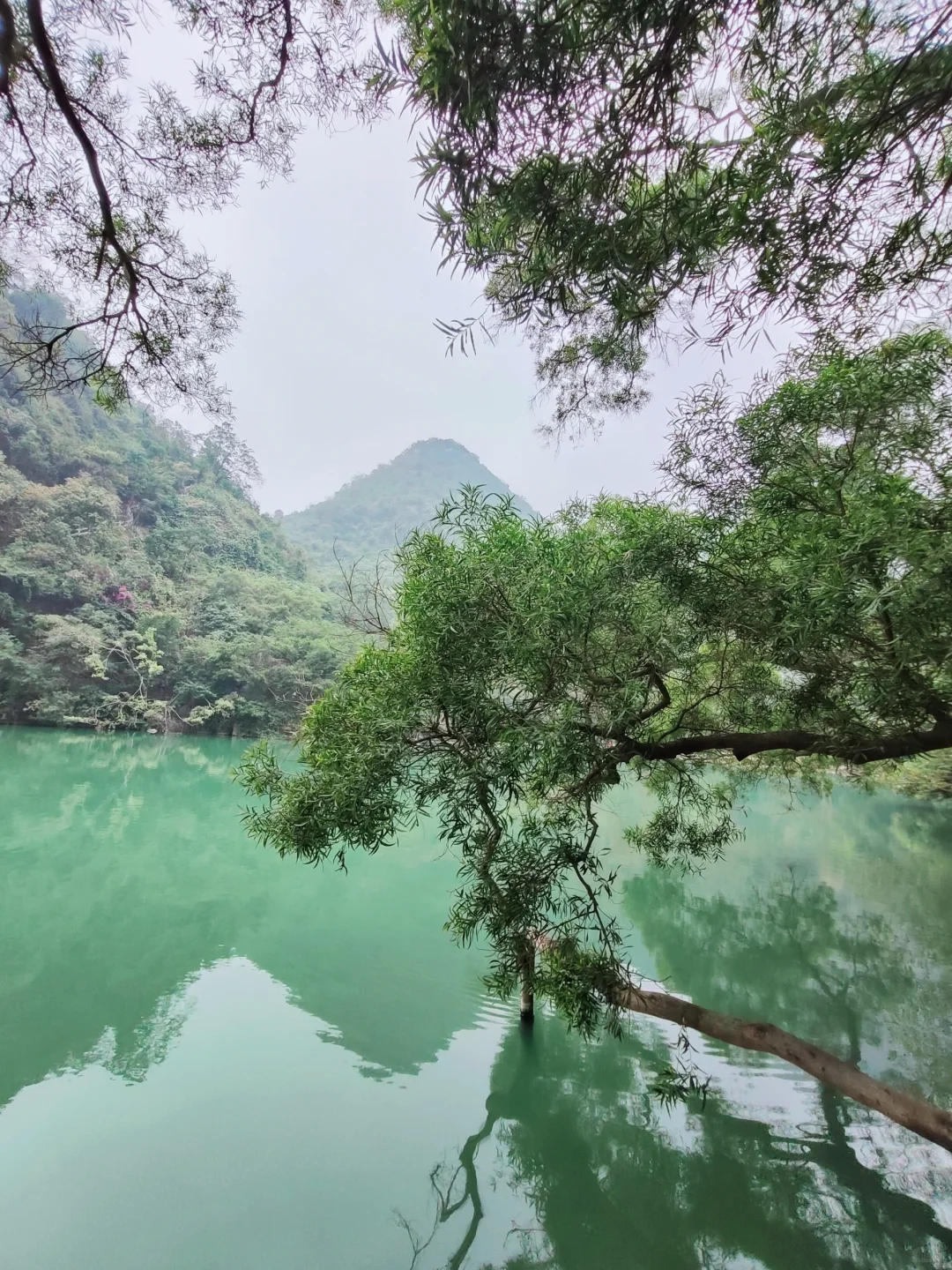 环境监测 地表水采样