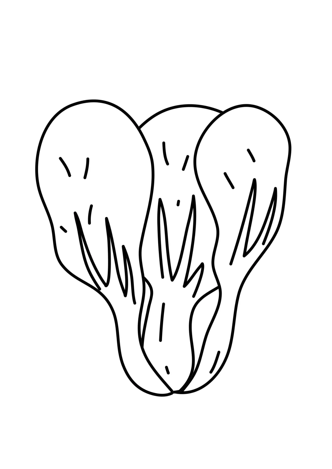 蔬菜涂色练习｜?打印