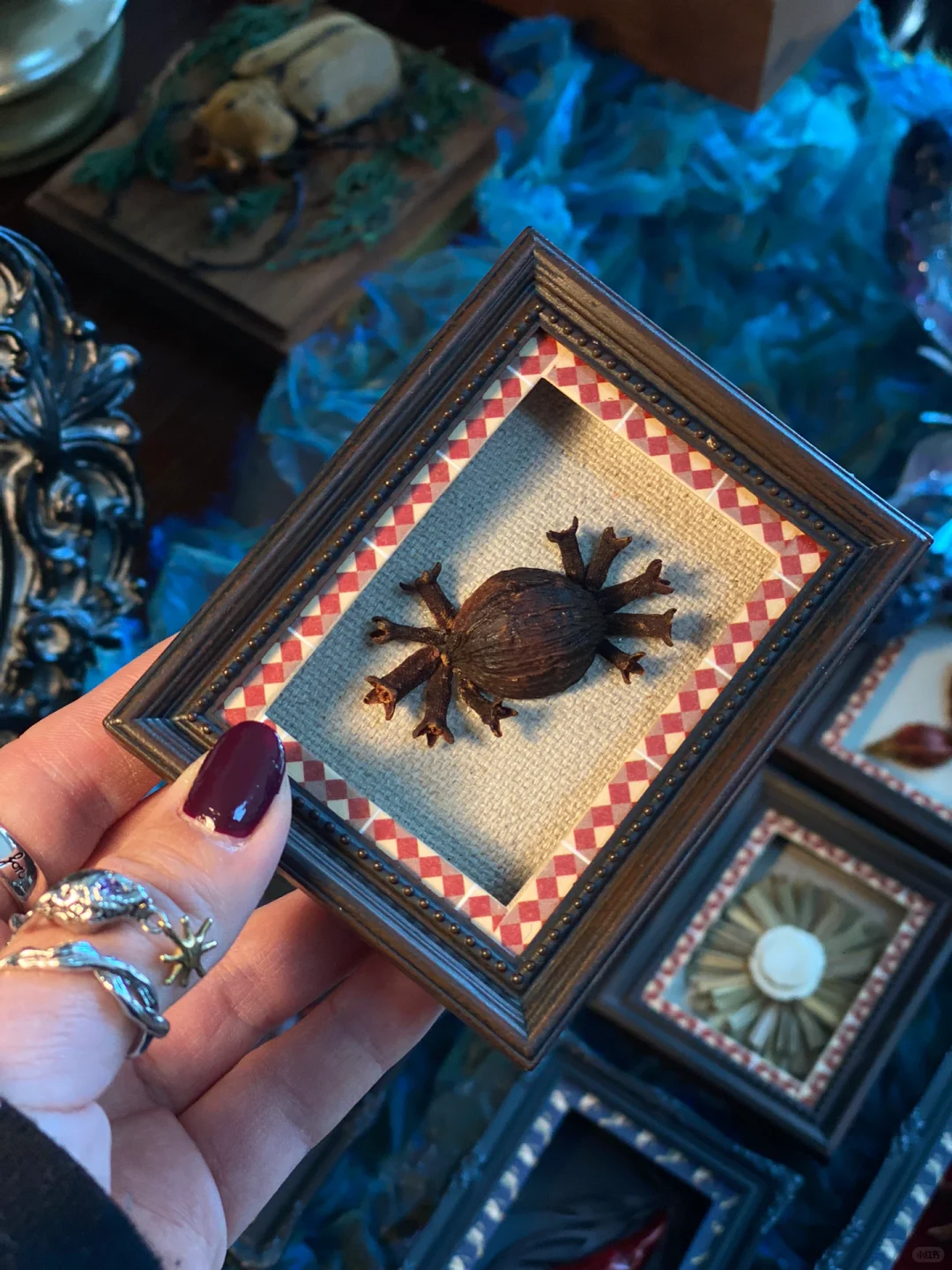 Aha！灵光一闪！给调味料来个?华丽的变身！?