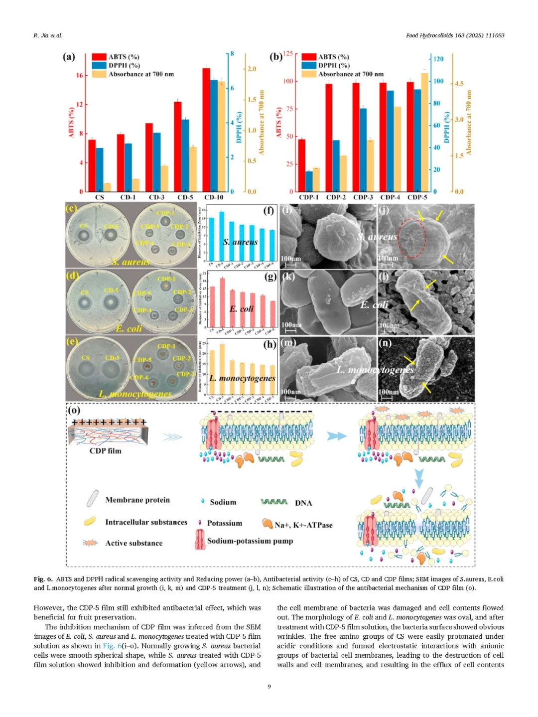 壳聚糖×二醛纤维素×原花青素:变色保鲜膜