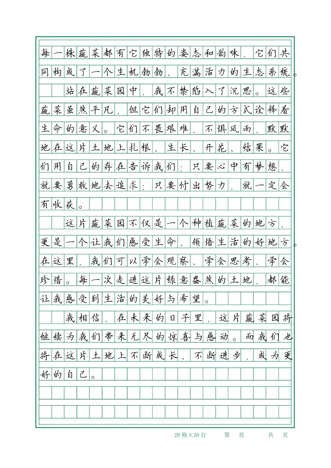 蔬菜园的生机盎然