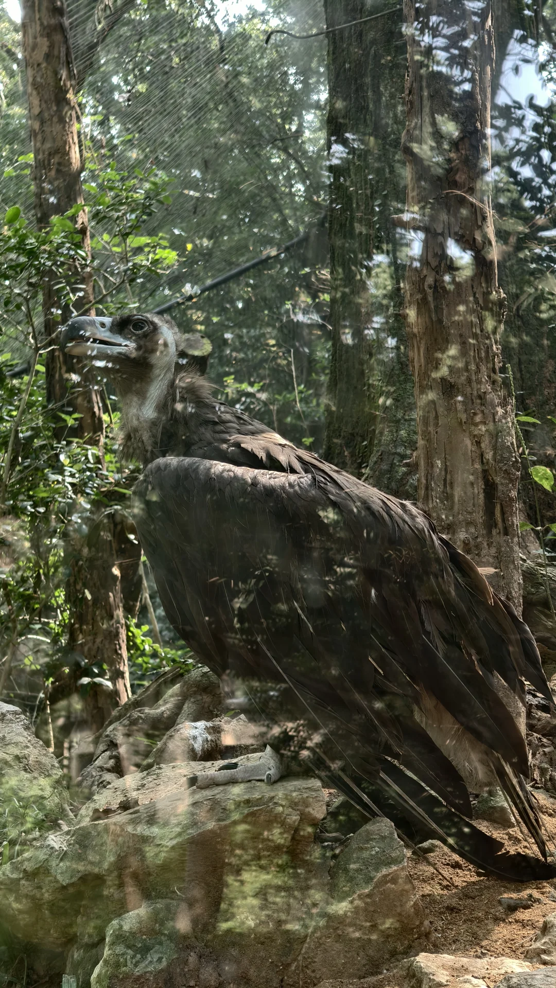 特种兵之杭州动物园