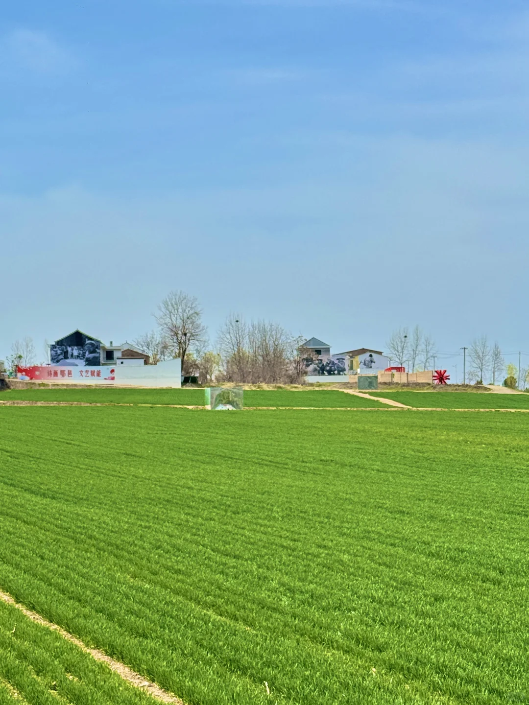 周末去哪|西安周边|超“减压”的city walk!