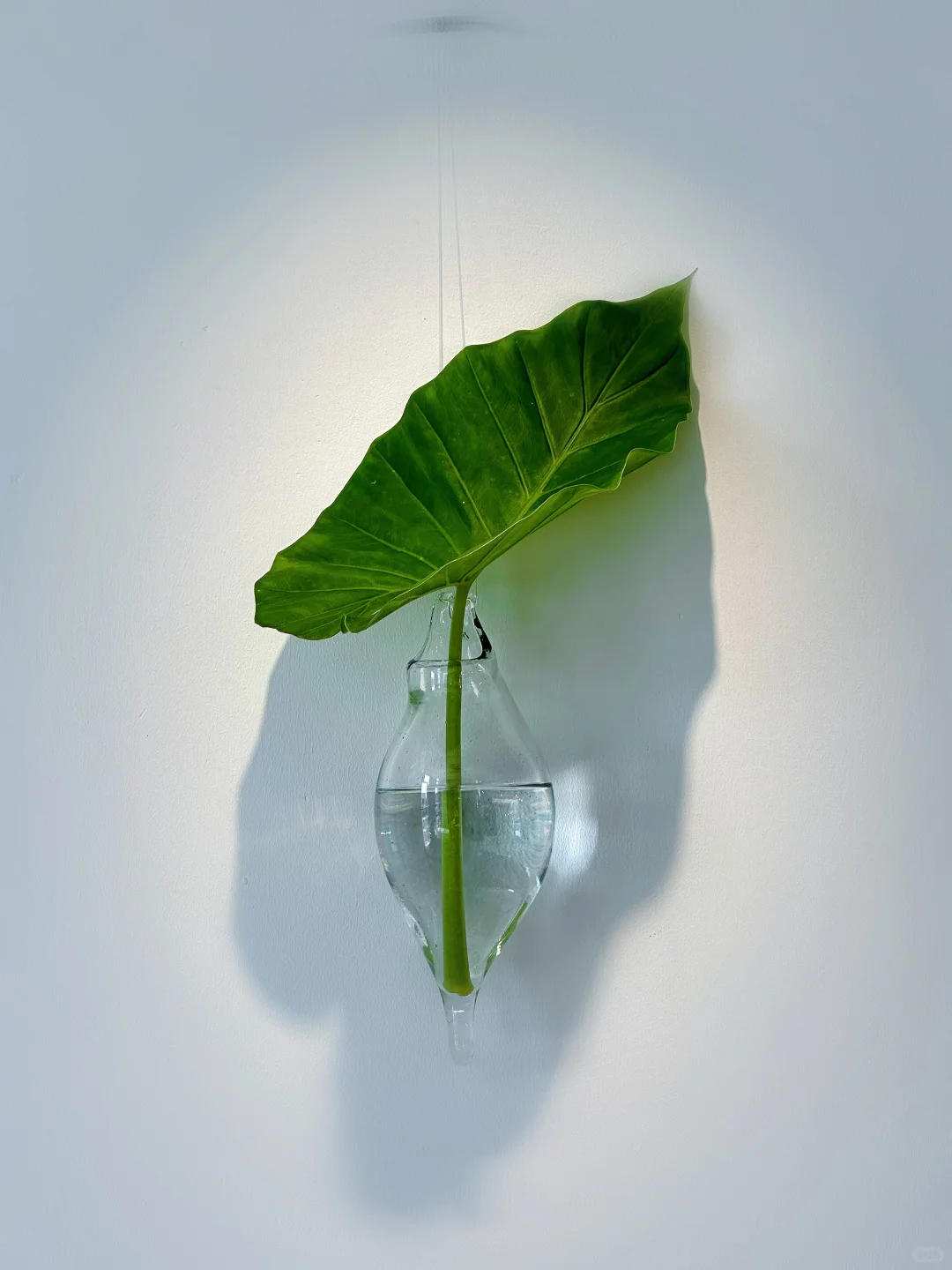 冲绳必逛器皿店