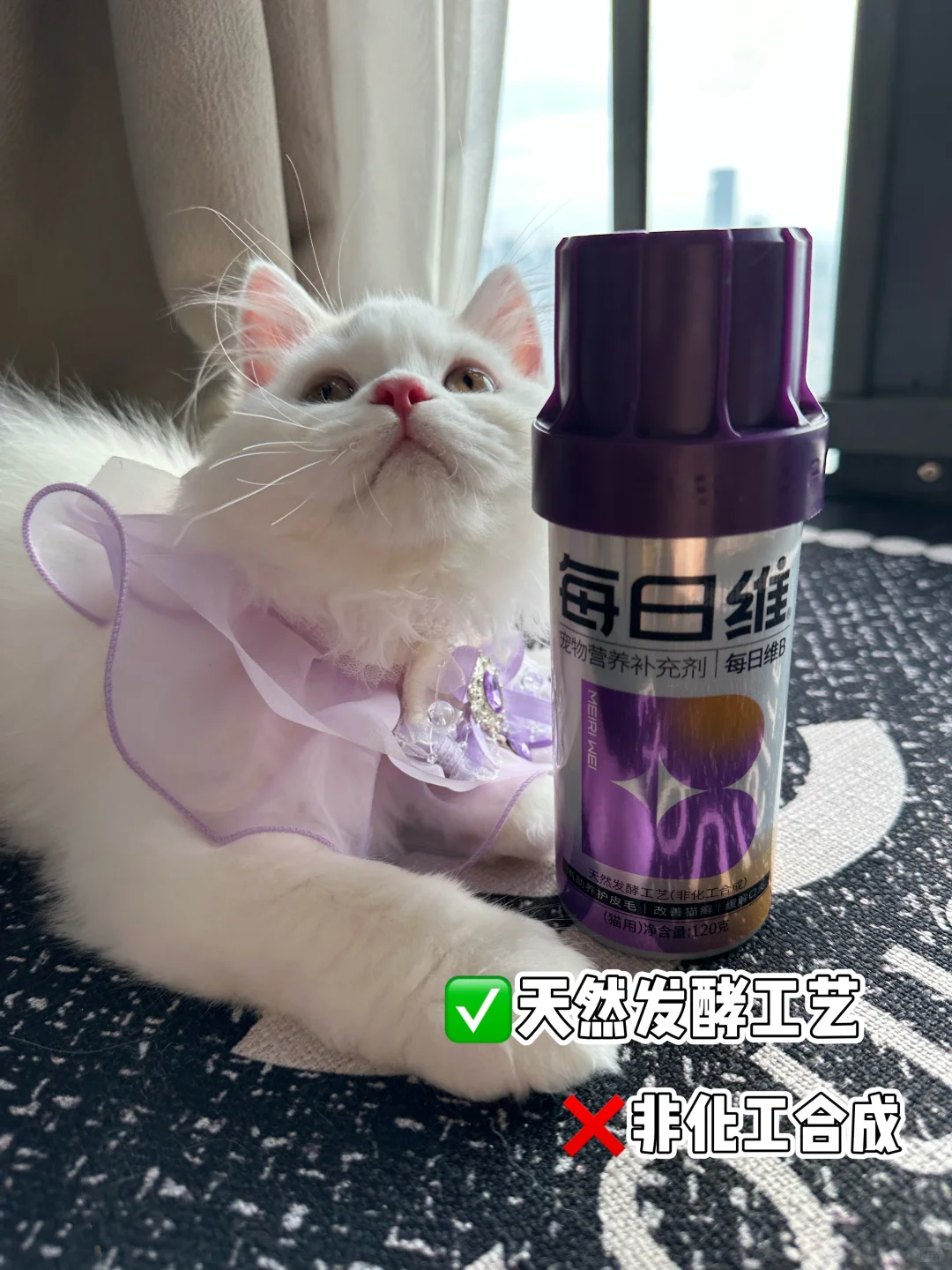 猫咪需要补充维生素b吗