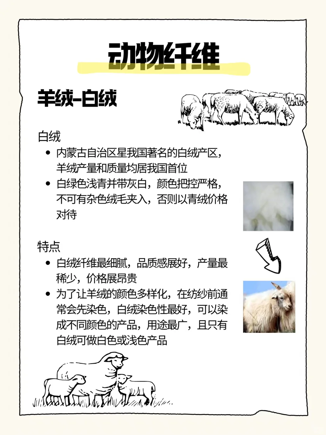 原材料‖动物纤维(羊绒)