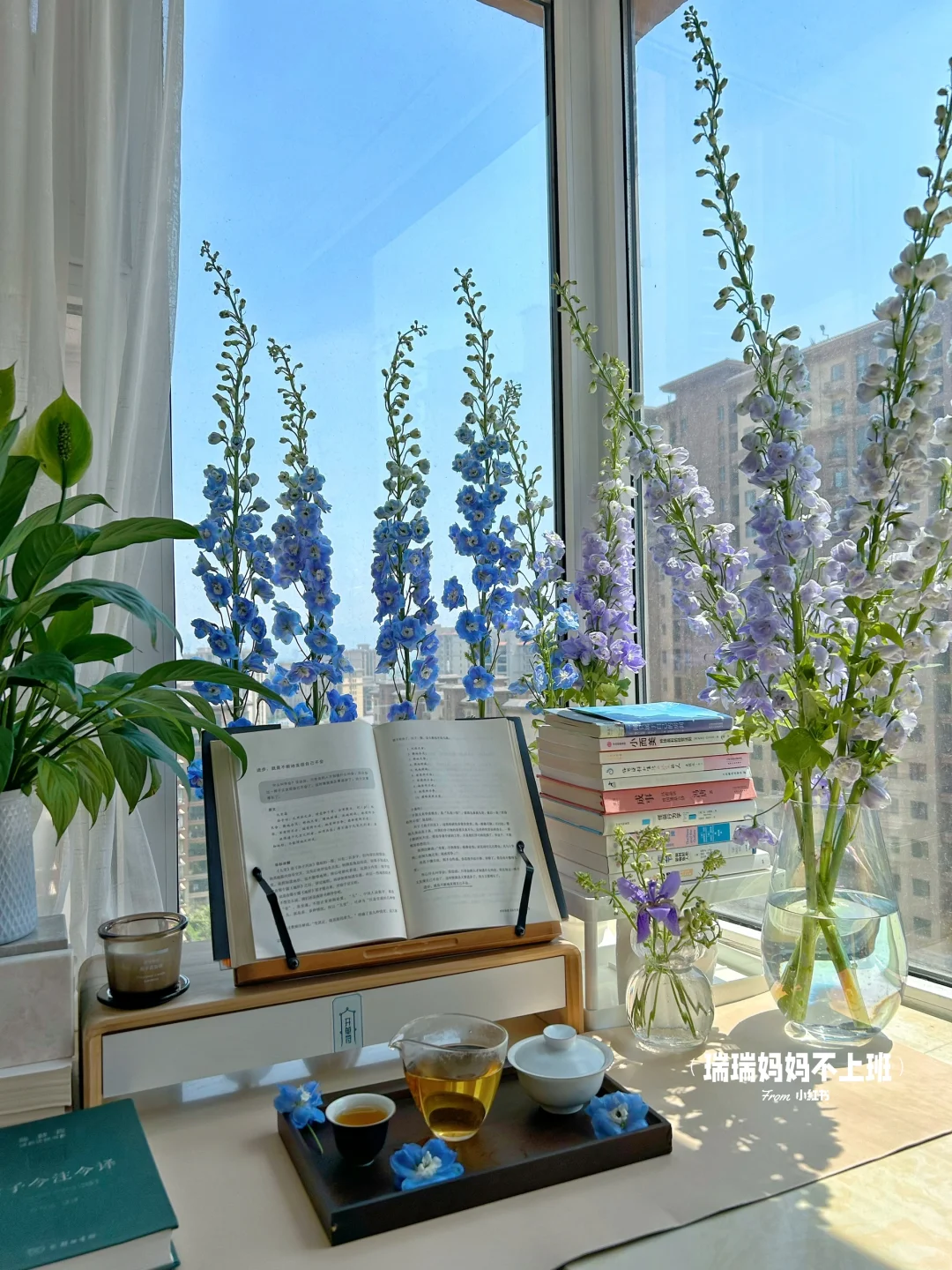 36岁,家是我的能量场,独处是灵魂的充电站✨