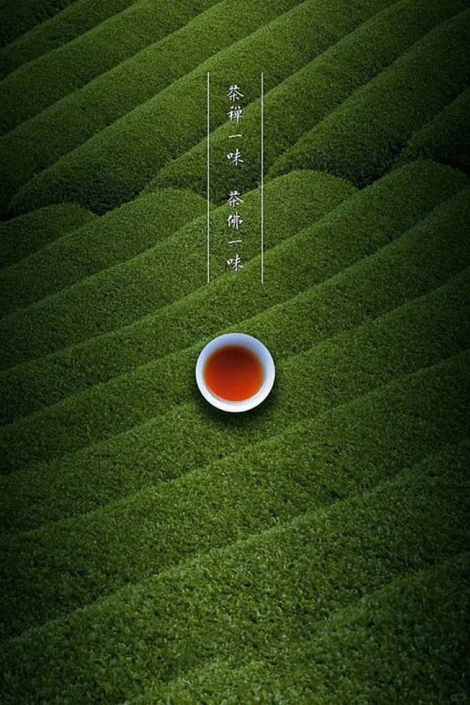 一张图带你了解不同器型的公道杯