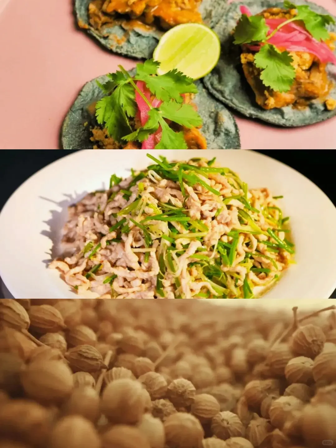 妈耶?最讨厌的蔬菜拍成了纪录片?‼️