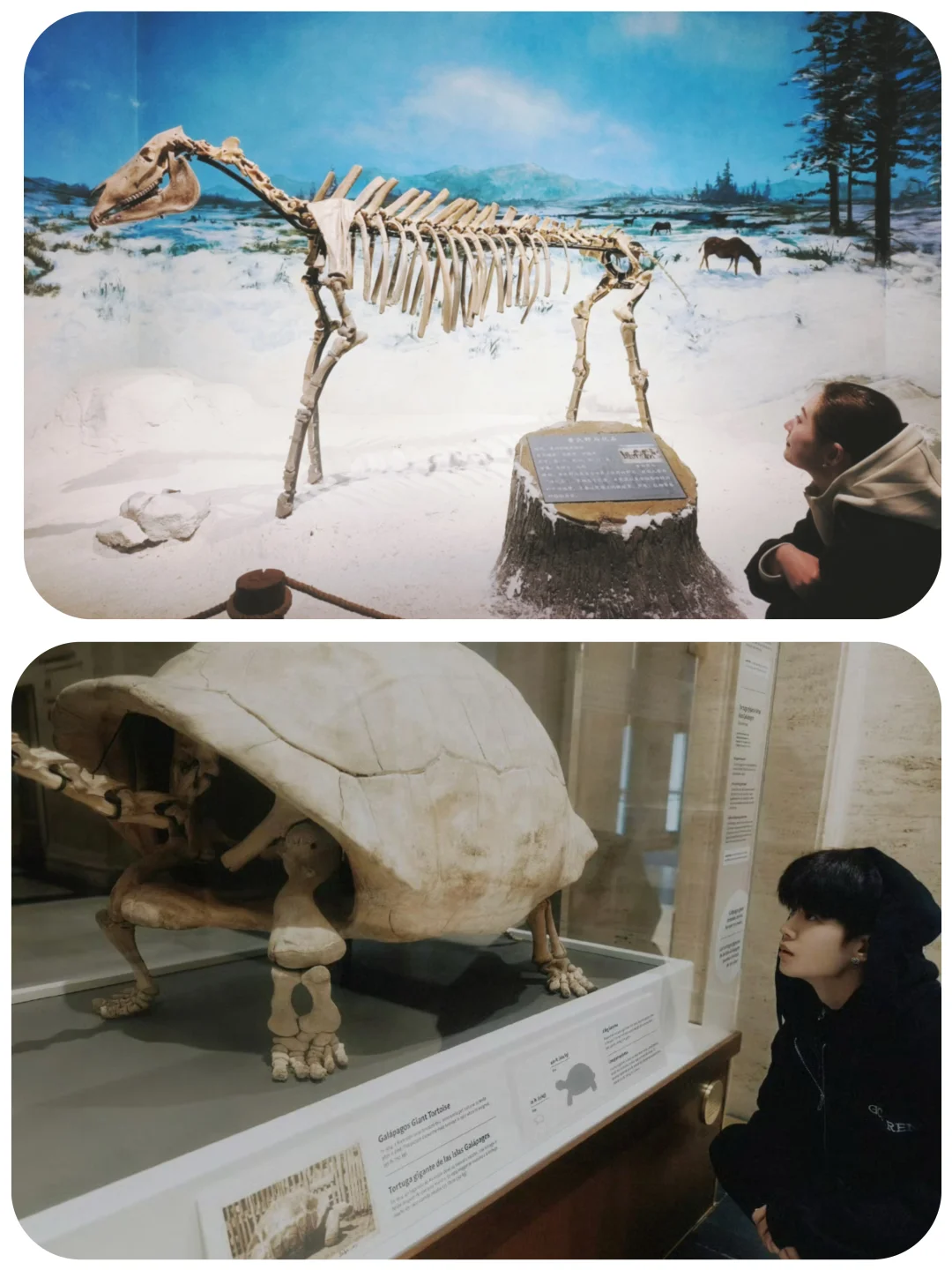 蹭一波嘉伦同款看展打卡图