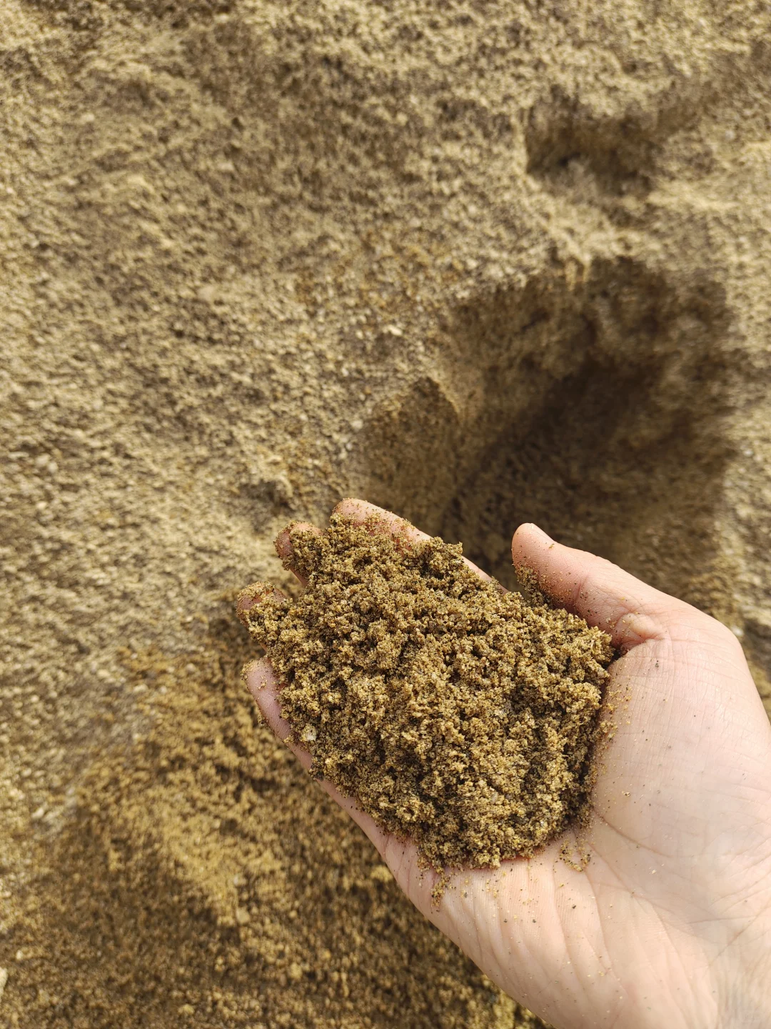 自装买沙子水泥必看❗️