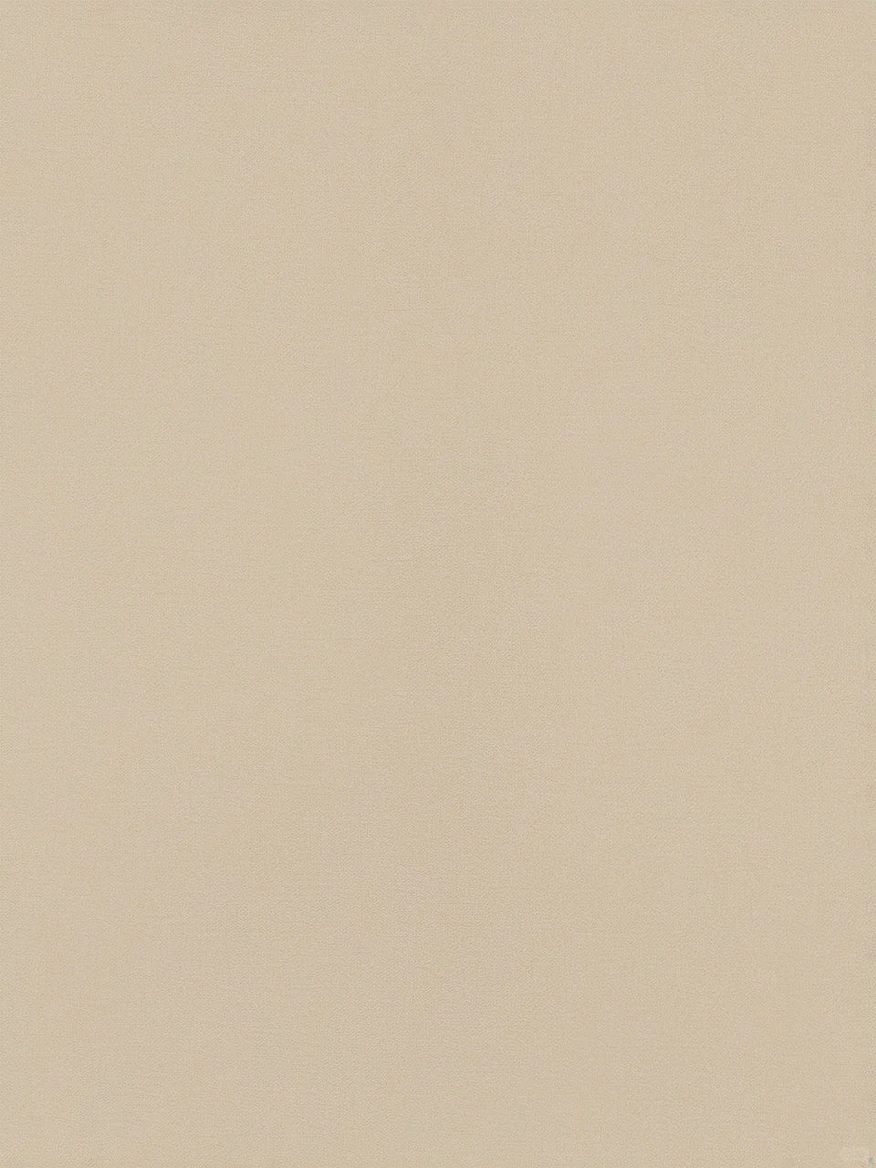 Day67｜米黄色布纹