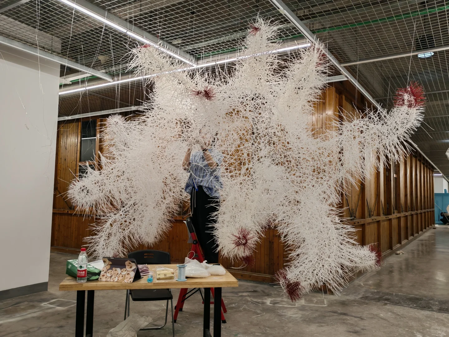 小红书线上毕业展 | 返照