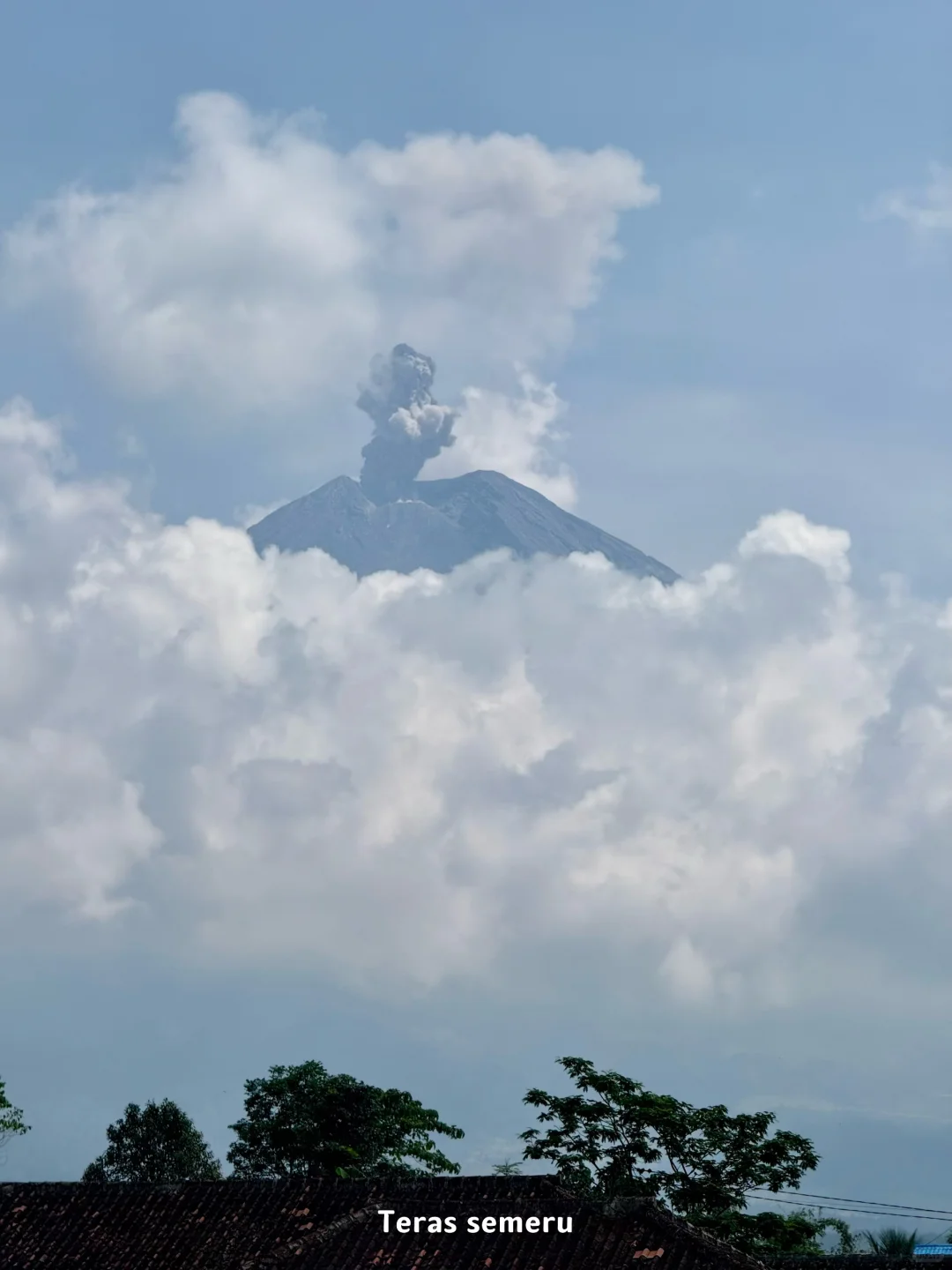 ??印尼｜泗水4天旅行攻略 （骑摩托版）