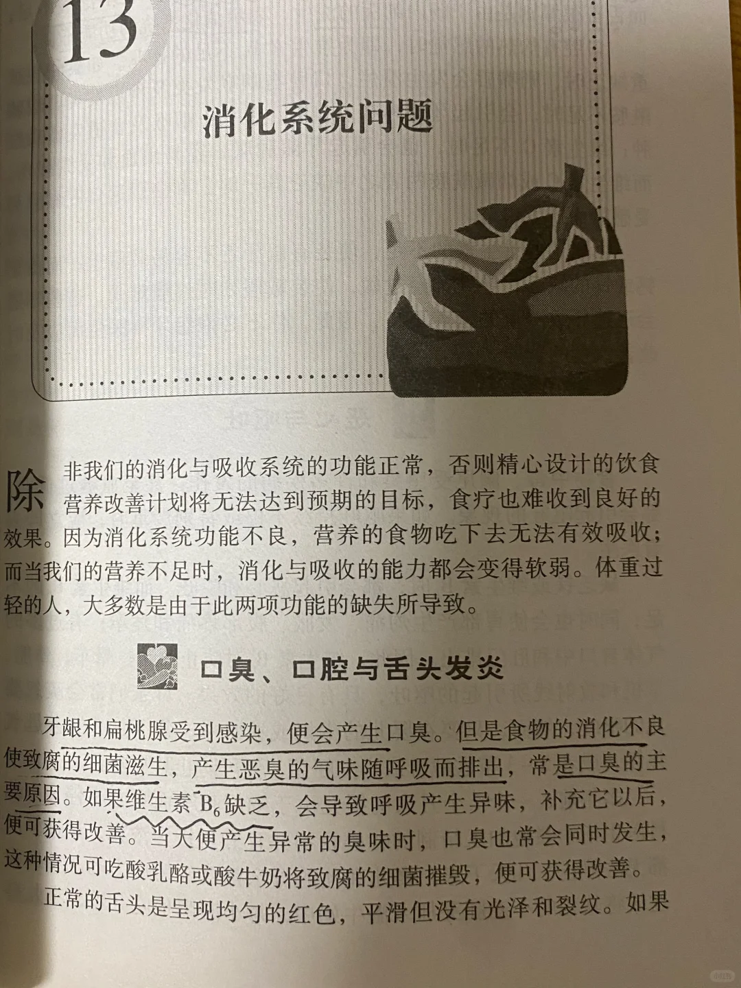 B族吃够了，口臭?也好了！