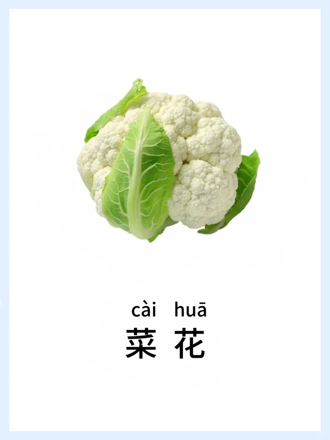 ?宝宝早教启蒙-蔬菜篇，认知小课堂开课啦！